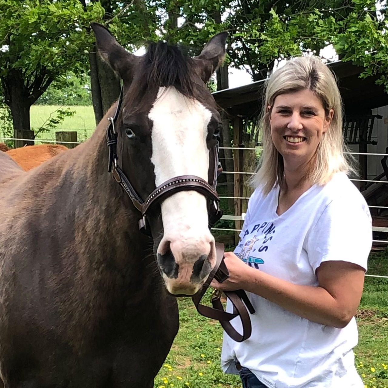 Apex Vet Surgery About Us